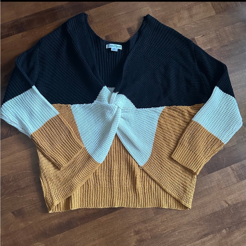 Caren Sport Cropped Color Block Sweater 2X